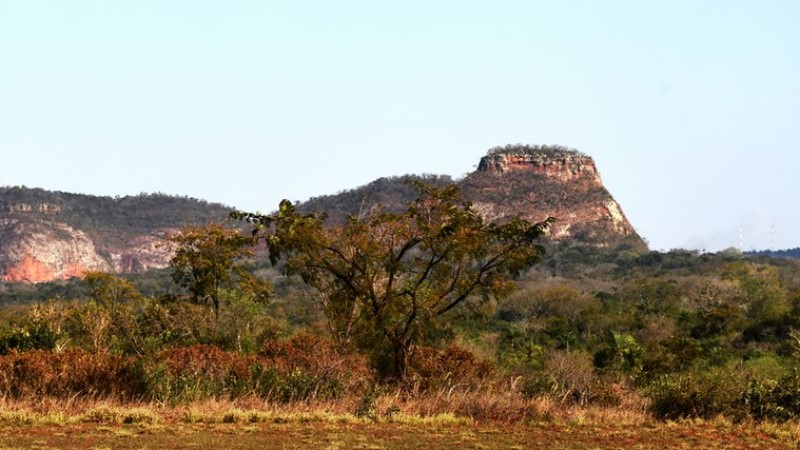 Departamento de Amambay